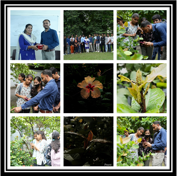 SanpEdit Workshop Series -2025